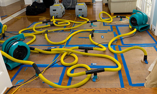 Professional Crawl Space Water Removal technician working in Grover, CO